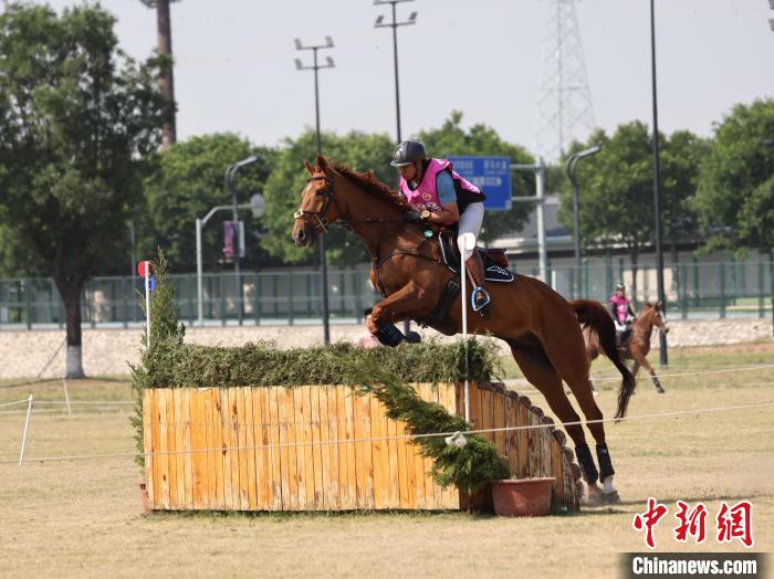 江苏广东队稳居积分榜前二 马术三项赛资格赛激